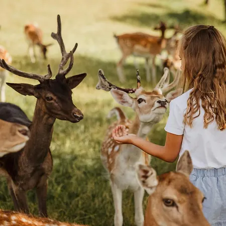 Natur- Und Wohlfuehlhotel Kastenholz