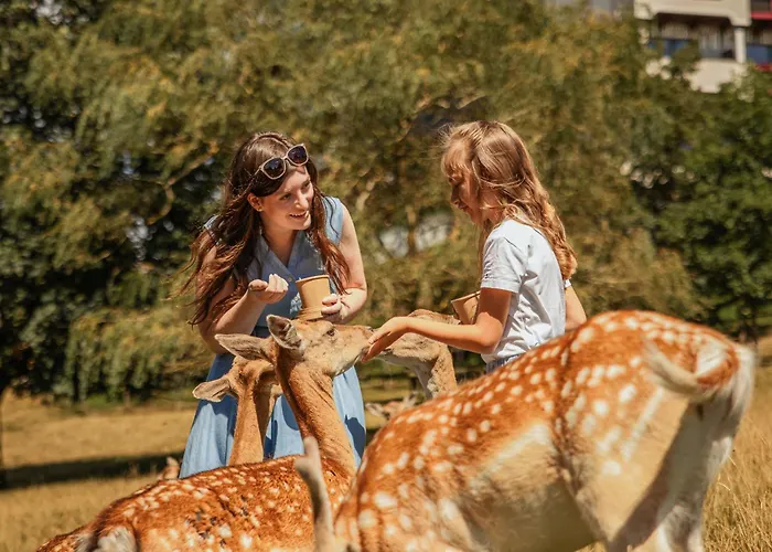 Natur- Und Wohlfuehlhotel Kastenholz Hotel