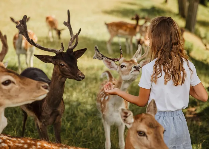 Natur- Und Wohlfuehlhotel Kastenholz