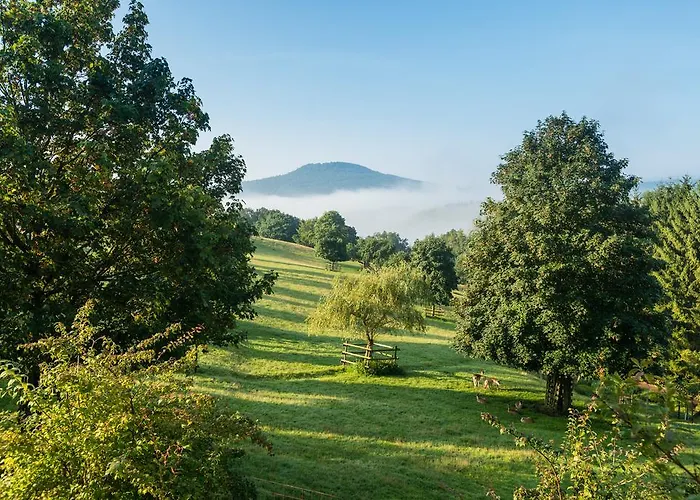 Natur- Und Wohlfuehlhotel Kastenholz 4*